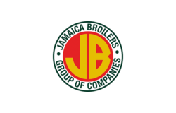 Jamaica Broilers, Jamaica
